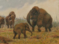 Mammut_Flerov.jpg