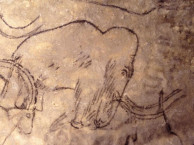 Mammut_höhle_1.jpg